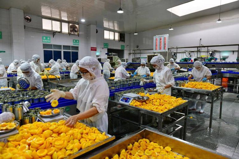 小米批发:电商行业的未来趋势
