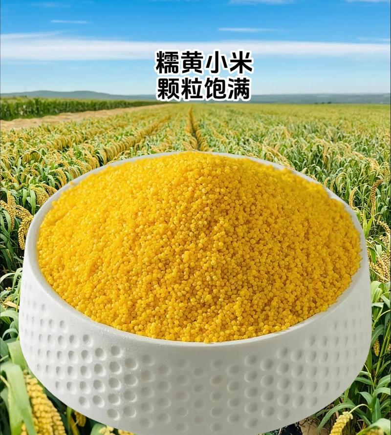有机杂粮走进你的餐桌